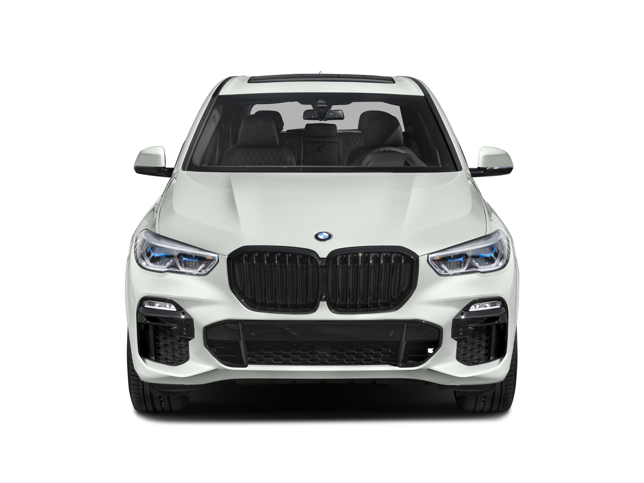 2023 BMW X5 M50i Sports Activity Vehicle