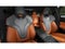 2027 BMW 5 Series Base
