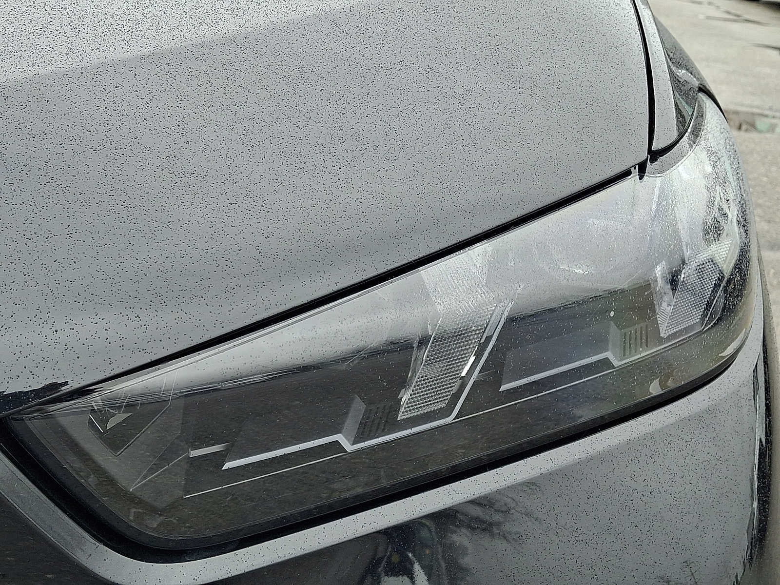 2025 BMW X5 xDrive40i Sports Activity Vehicle