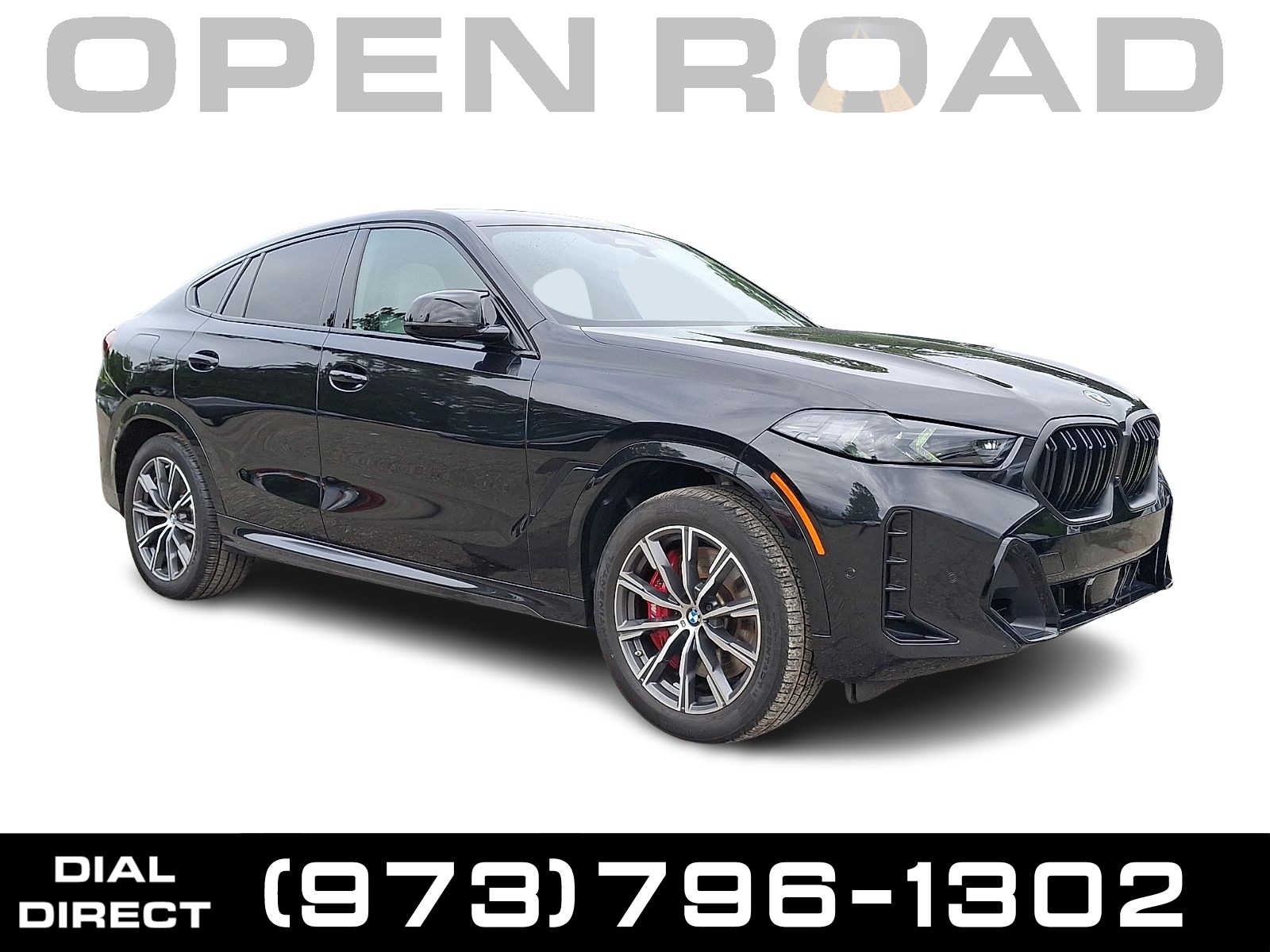 2025 BMW X6