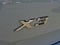 2023 BMW X3 xDrive30i Sports Activity Vehicle