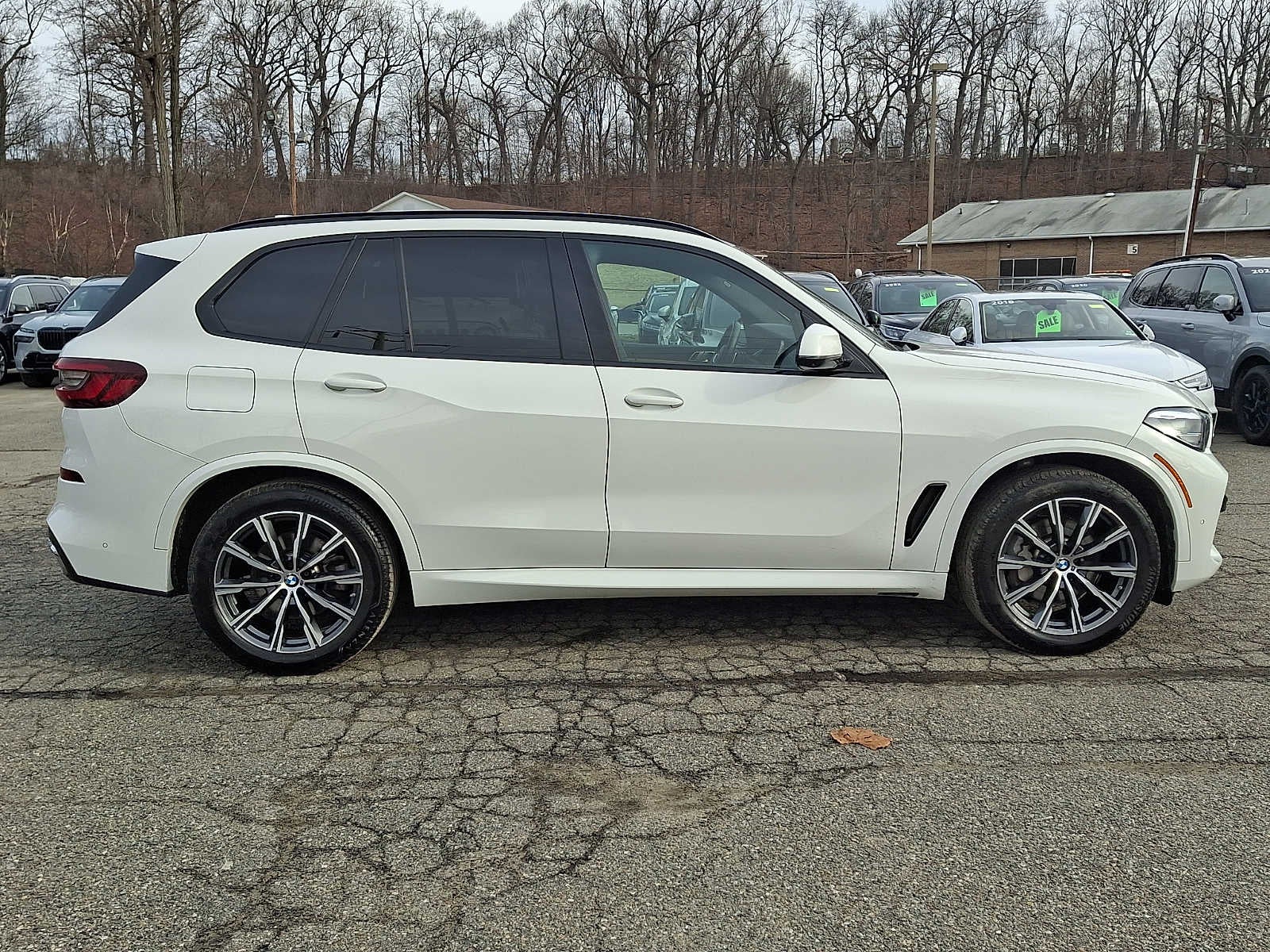 2023 BMW X5 xDrive40i Sports Activity Vehicle